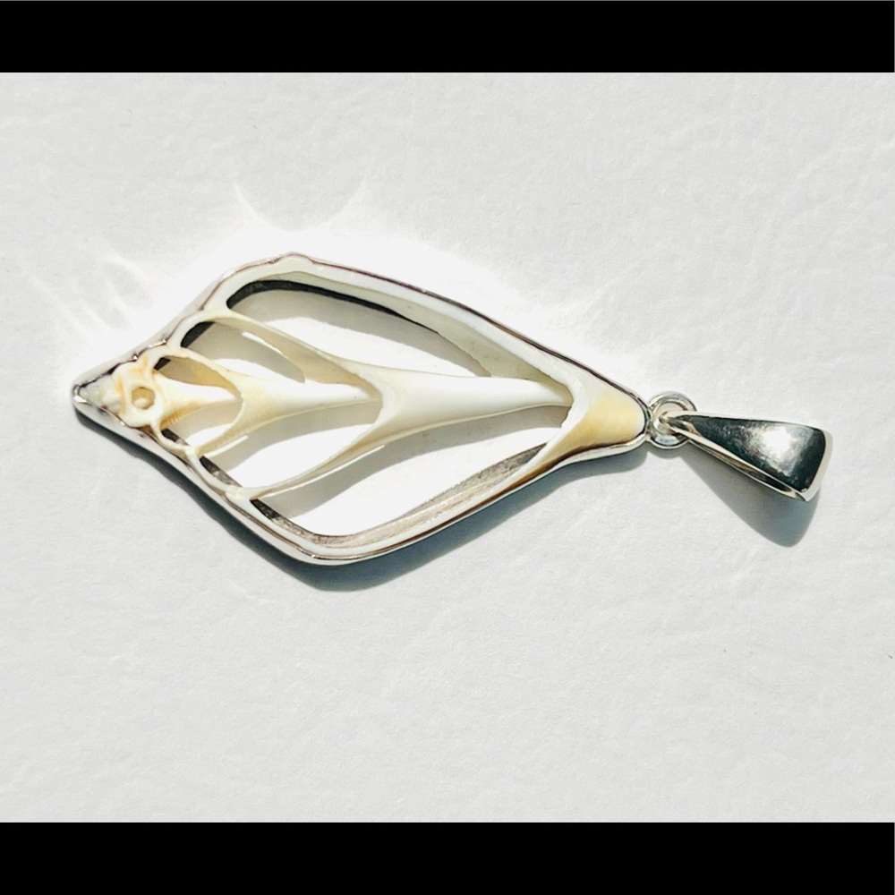 Shell Pendant